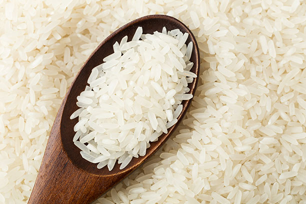 Rice